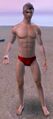 Pavilion Guest male human.jpg