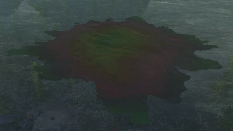 File:Rot Pollution.jpg