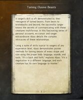 Taming Elusive Beasts.jpg