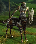 Tamini Warrior.jpg