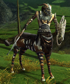 Tamini Warrior.jpg