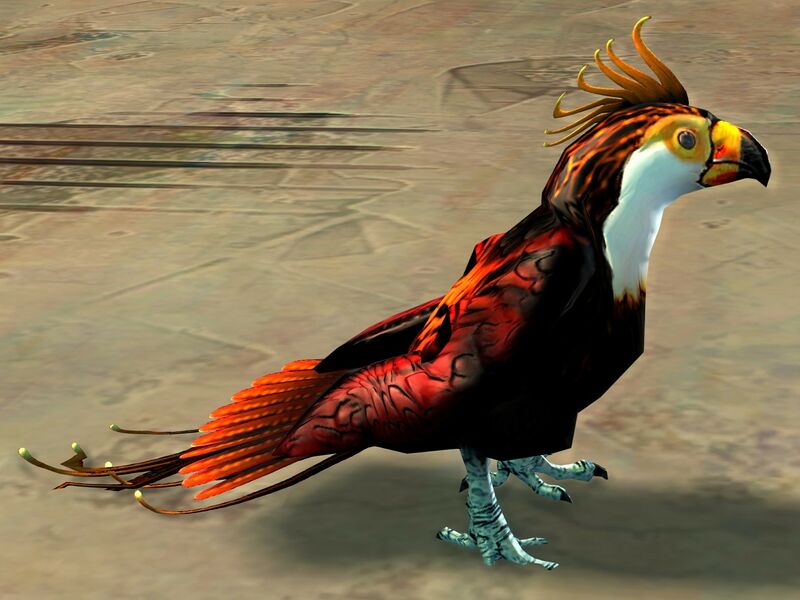 File:Tropical Bird.jpg