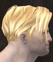Unique norn male hair side 1.jpg