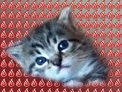 User Necro Shea mo Kitty.jpg
