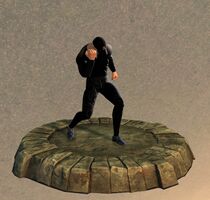 Armor Display Case Cheer.jpg