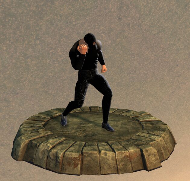 File:Armor Display Case Cheer.jpg
