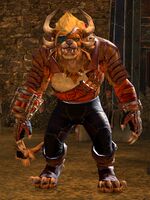 Auris Weirdbringer Grothmar.jpg