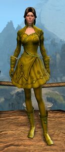Appearance on light armor.