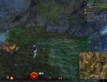 Carrot Collector 32 map.jpg