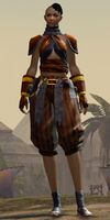 Hamaseen Saboteur.jpg