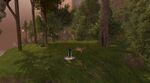Missing Brood Location 15.jpg