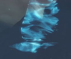 Raven (Spirit of the Wild).jpg