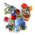 Summer Vacation Appearance Package.png