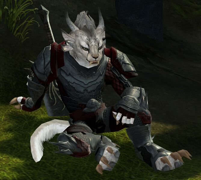 File:Treasure Hunter (NPC) female.jpg