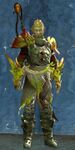 Aerodrome Mercenary sylvari male 1.jpg
