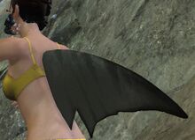 Agaleus rear.jpg
