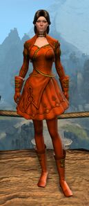 Appearance on light armor.