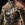 Ascalonian Sentry Chestguard.png