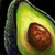 Avocado.png