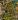 Bearce's Dwelling map.jpg
