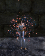 Chak Animation 8.gif