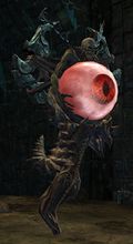 Eye of Zhaitan.jpg