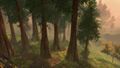 Fungal Woodland with large pine trees as well as fungi which thrive underneath them.