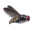 Thumbnail for version as of 15:02, 22 September 2022