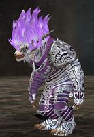 Infinite Generic WvW Commander Tonic.jpg
