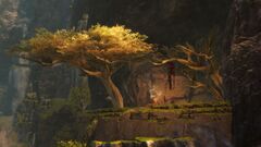 Matriarch's View.jpg