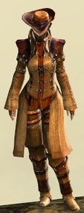 Appearance on medium armor.
