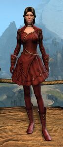 Appearance on light armor.