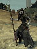 Risen Wizard.jpg