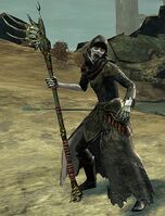 Risen Wizard.jpg