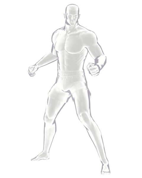 File:Stealth 2.jpg