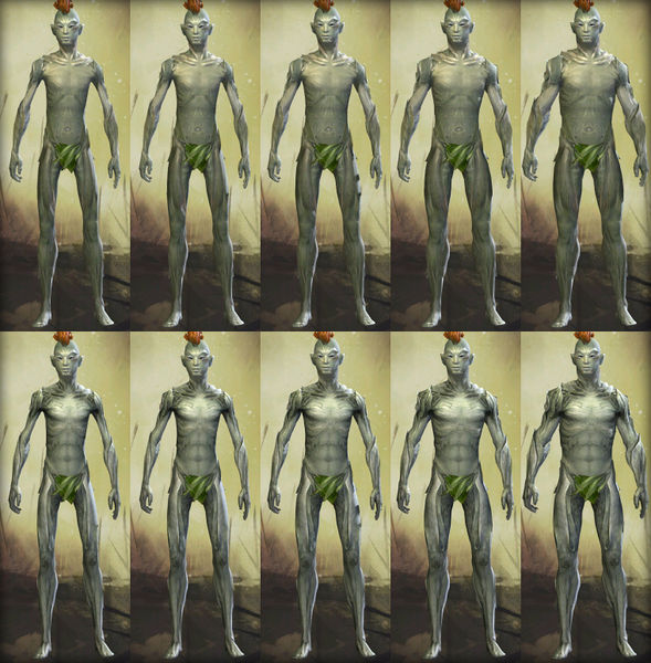 File:Sylvari male physique.jpg