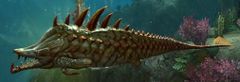 Toxic Barracuda.jpg