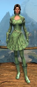Appearance on light armor.