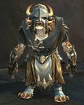 Adamant Guard (NPC).jpg