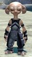 Castaway Tedd