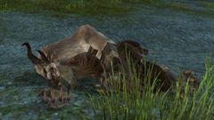 Charr Corpse.jpg