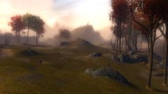Freewain Pastures.jpg