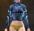Chestplate.