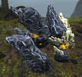 Lucid Boulder.jpg