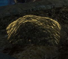 Open Soil.jpg