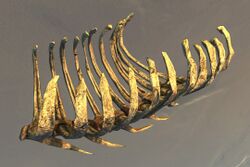 Primordial Leviathan Rib Cage- Left Curved.jpg