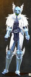 Raven armor sylvari female front.jpg