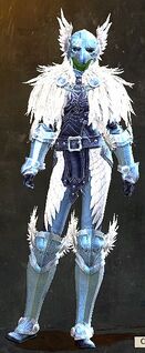 Raven armor sylvari female front.jpg