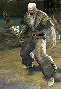 Risen Pirate (male).jpg