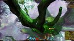 Skyscale Egg 19.jpg